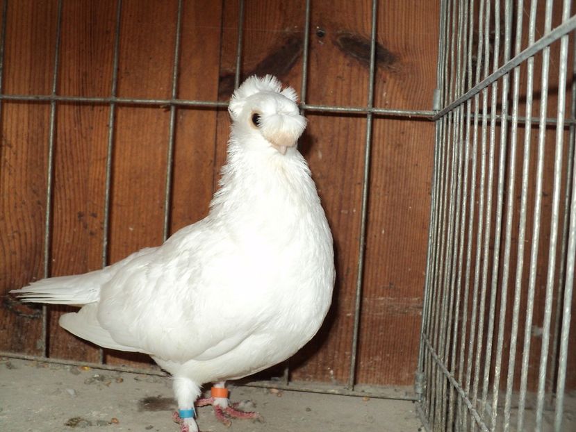 poze 2021 003 - contact