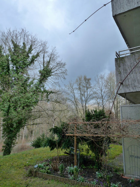 Nori grei, frig, ninsoare .... - 2021 - 01 - Primavara