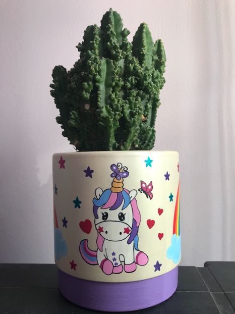 Cereus Peruvianus - Cactusi si suculente