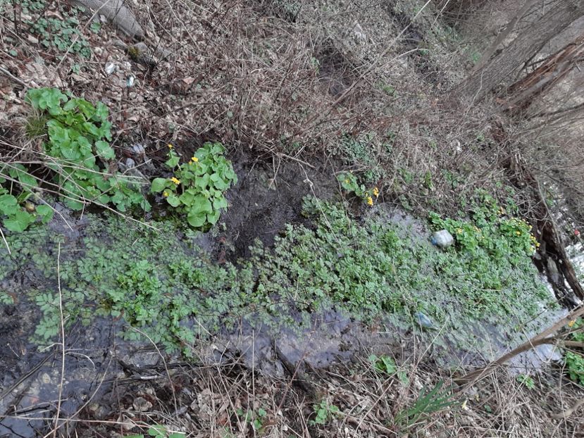  - La țară în martie 2021