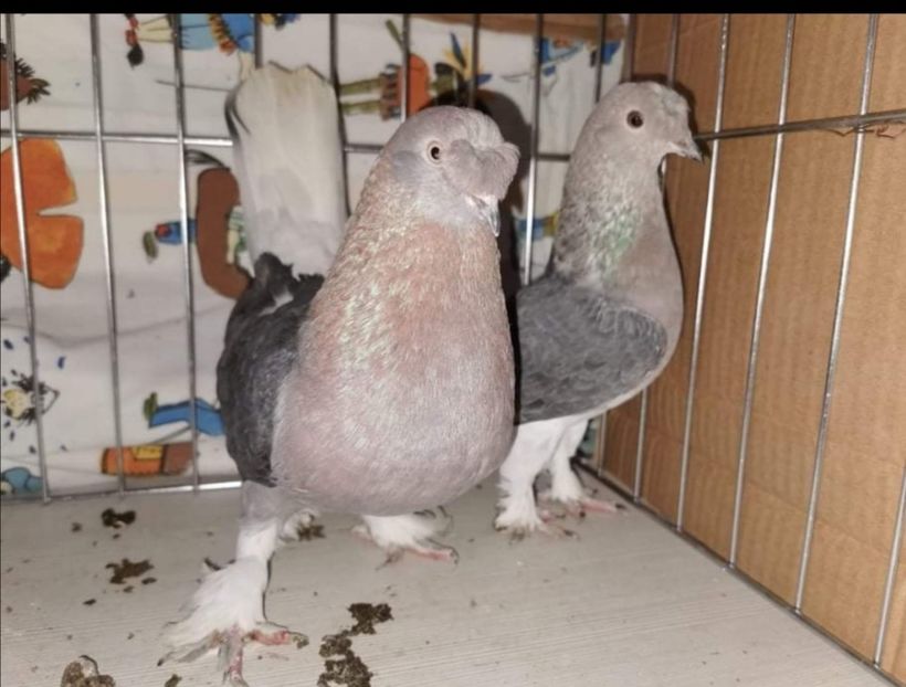 Screenshot_20210103_094941 - Takla