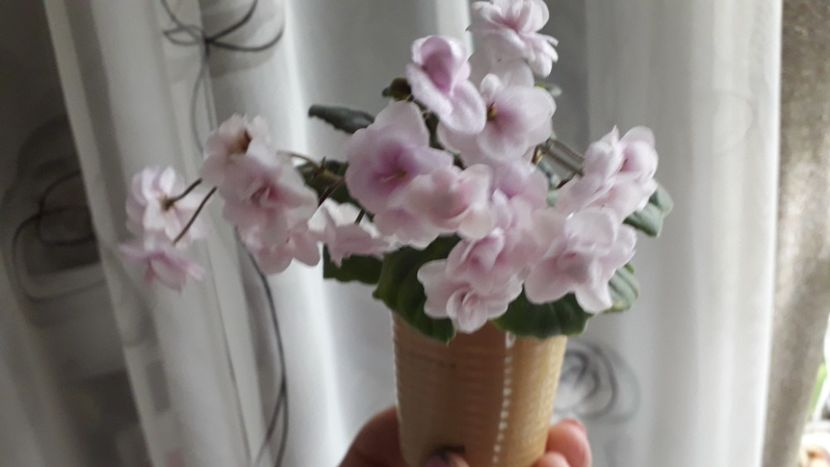  - Roob s Vanilla trail