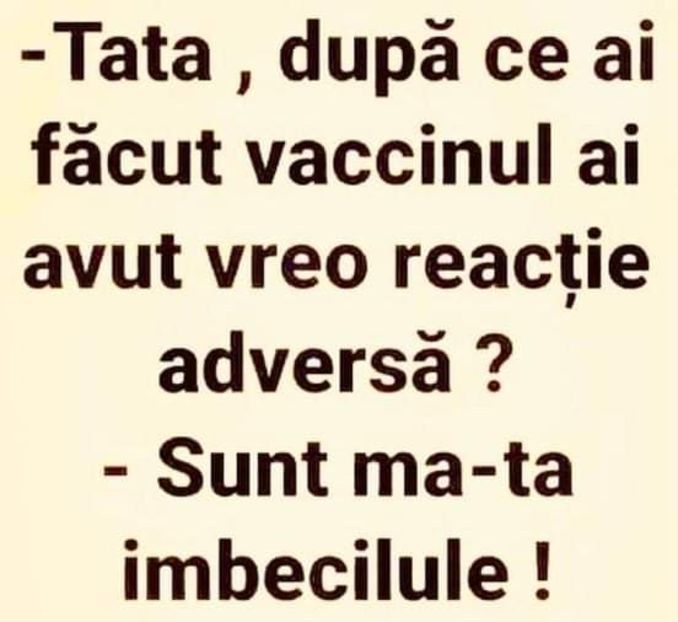  - Divertisment 3