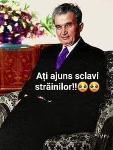  - Divertisment 3