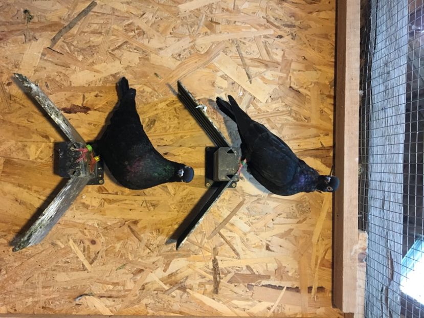 079BE894-14A5-4C9B-916C-575E35740315 - Porti