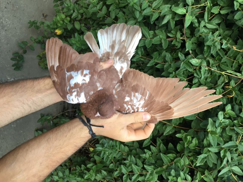 578C6B63-A0BD-4EBC-85A0-C0B081942DB4 - Porti