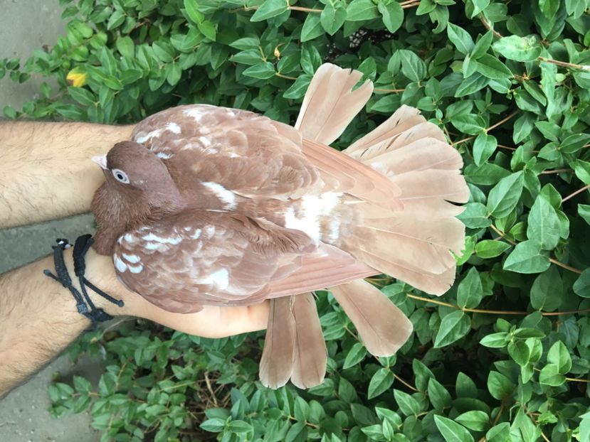 5D9DAAAE-E97A-4B07-B4DD-997AB2C32A83 - Porti