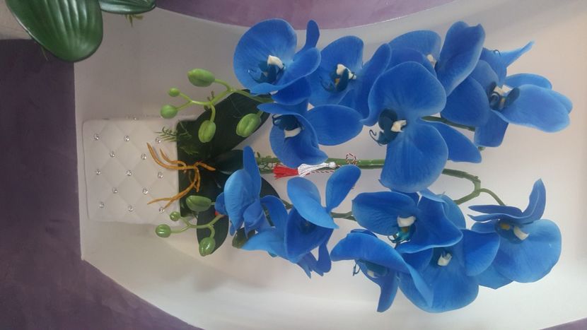  - trandafiri de sapun