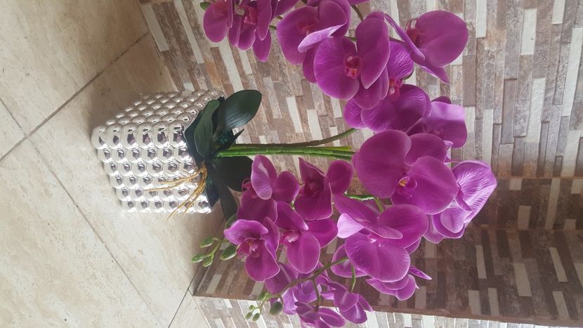  - trandafiri de sapun