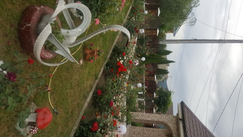  - flori din gradina