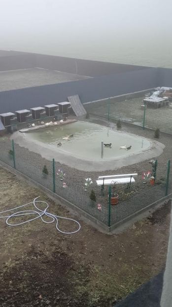 Iaz Luci Nazna izvorului - LUCRARILE  MELE