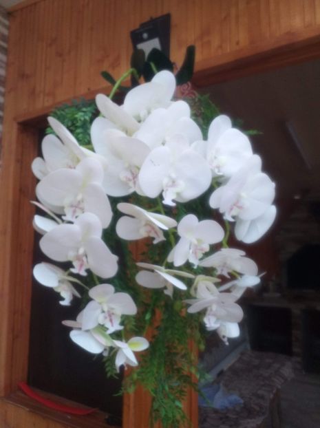 received_753699248857444 - trandafiri de sapun