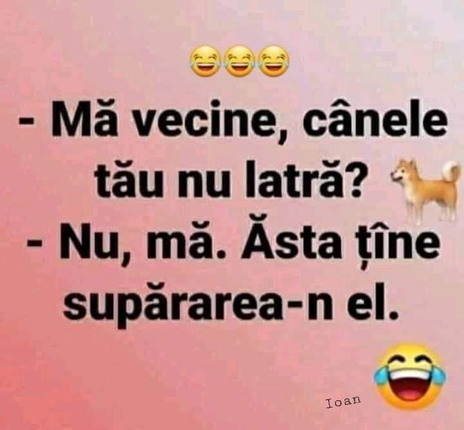  - Divertisment 3