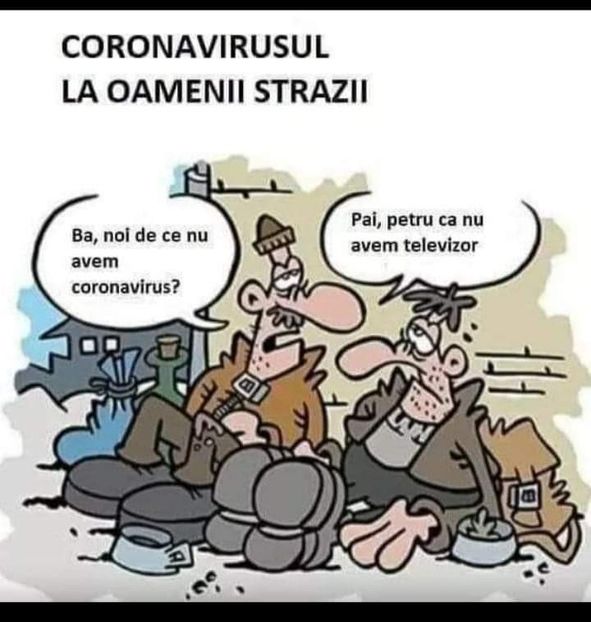  - Divertisment 3