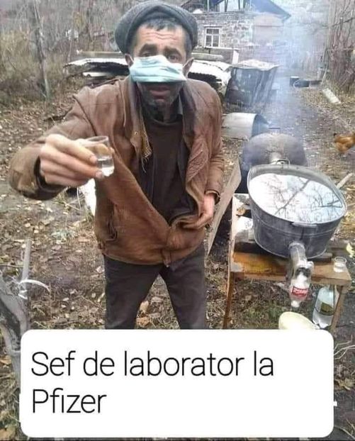  - Divertisment 3