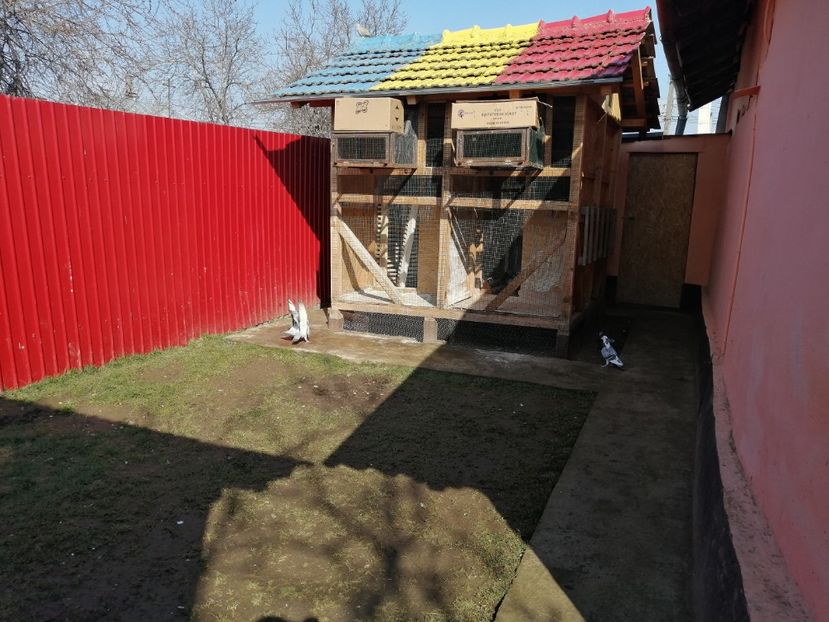  - 2021-PUI-PRIMA SERIE