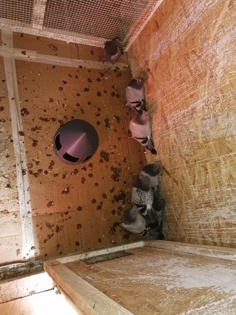  - 2021-PUI-PRIMA SERIE