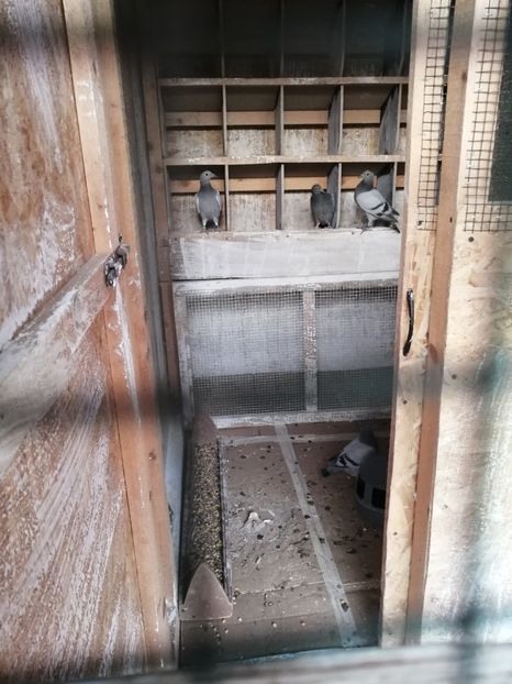  - 2021-PUI-PRIMA SERIE