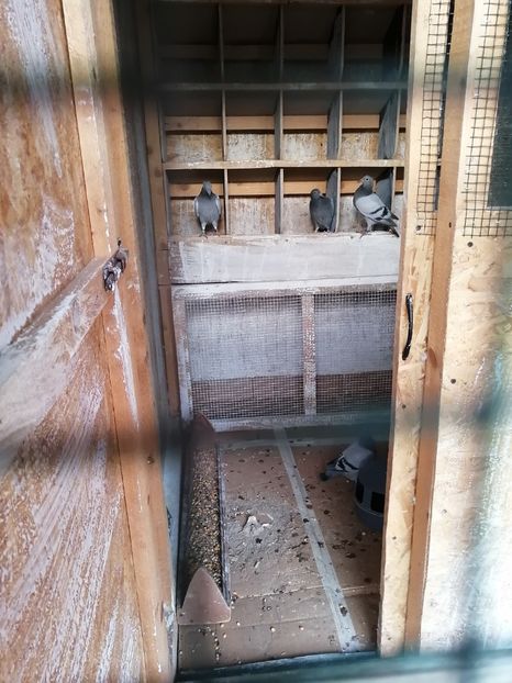  - 2021-PUI-PRIMA SERIE