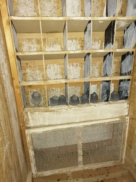  - 2021-PUI-PRIMA SERIE