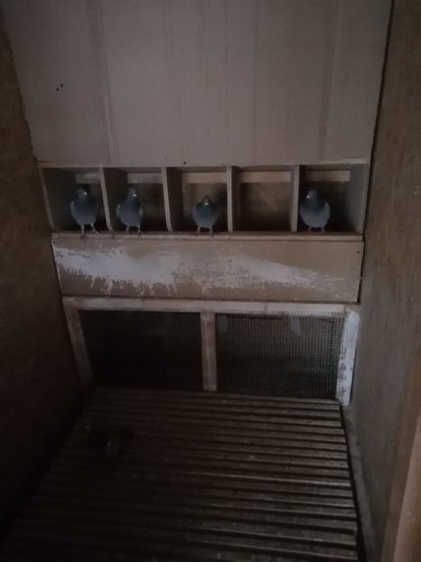  - 2021-PUI-PRIMA SERIE