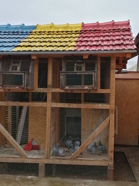  - 2021-PUI-PRIMA SERIE