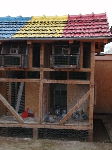  - 2021-PUI-PRIMA SERIE