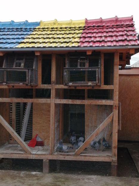  - 2021-PUI-PRIMA SERIE