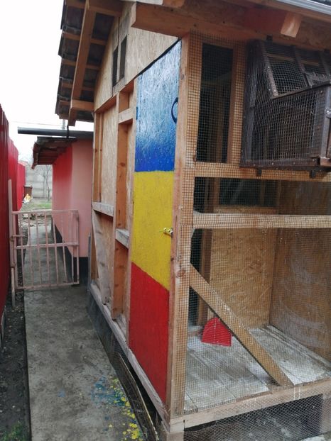  - 2021-PUI-PRIMA SERIE