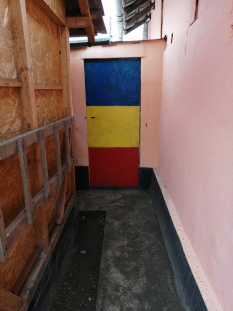  - 2021-PUI-PRIMA SERIE