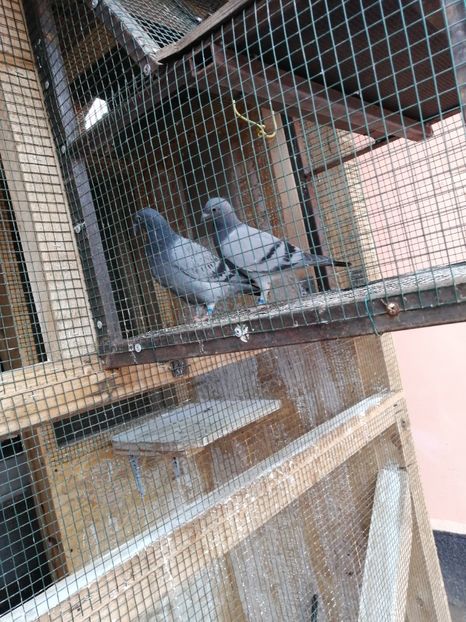  - 2021-PUI-PRIMA SERIE