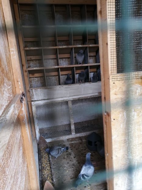  - 2021-PUI-PRIMA SERIE