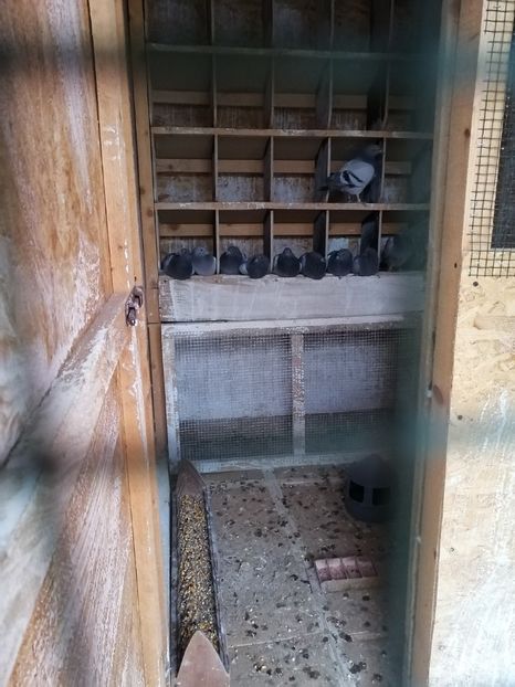  - 2021-PUI-PRIMA SERIE