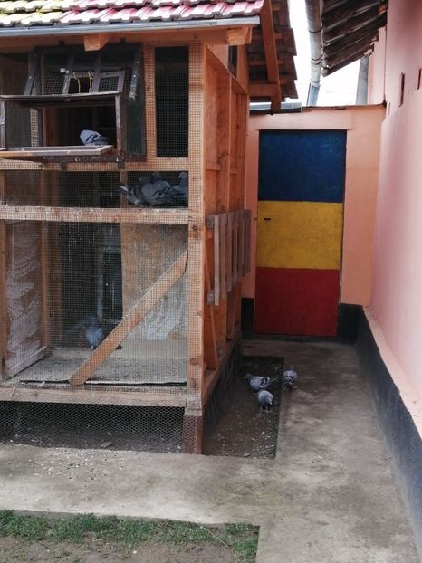  - 2021-PUI-PRIMA SERIE