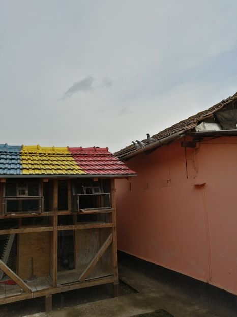  - 2021-PUI-PRIMA SERIE