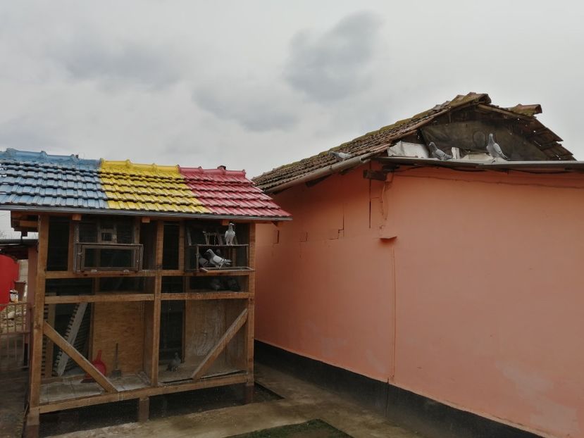  - 2021-PUI-PRIMA SERIE