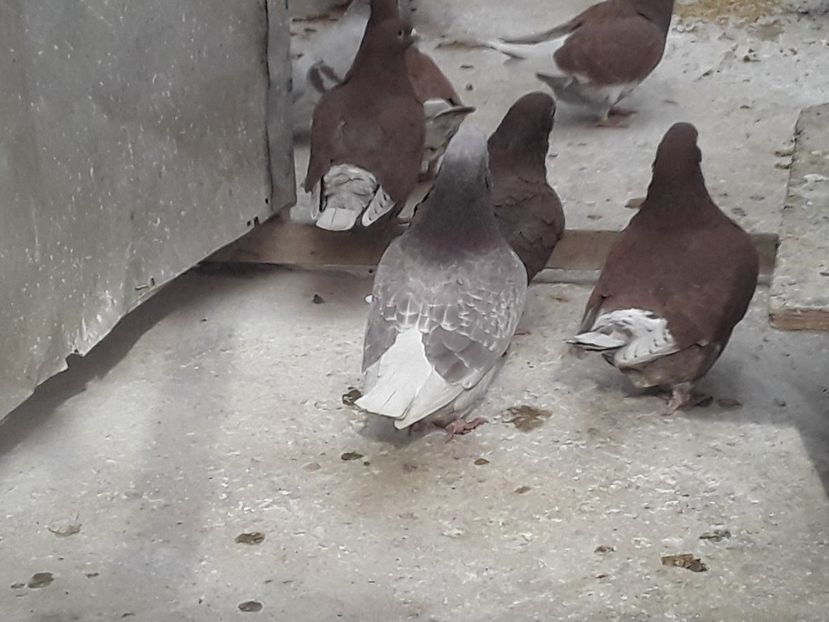 20210325_152818(0) - CONTACT