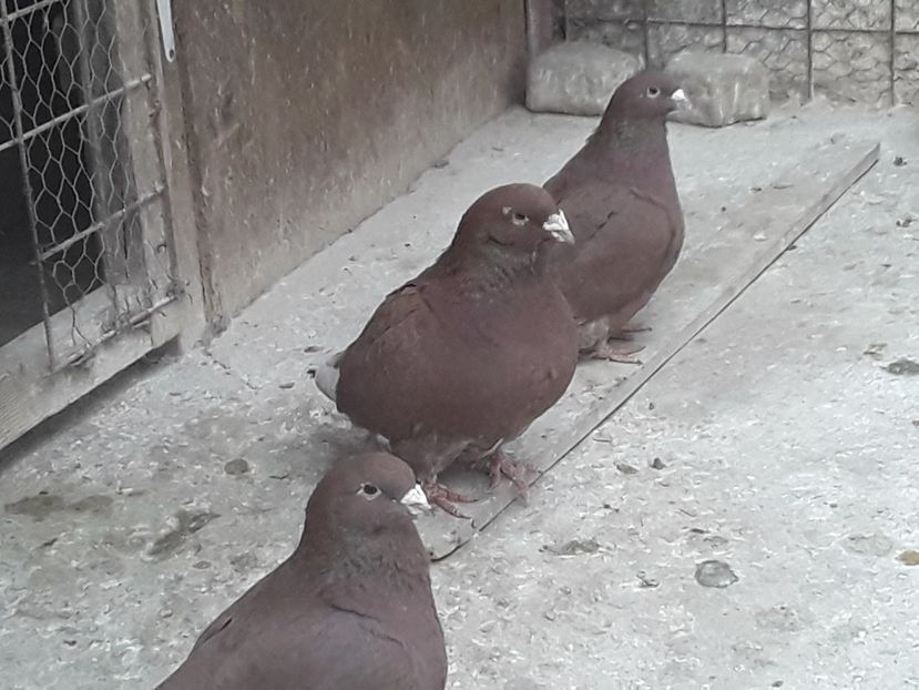 20210325_152836(0) - CONTACT