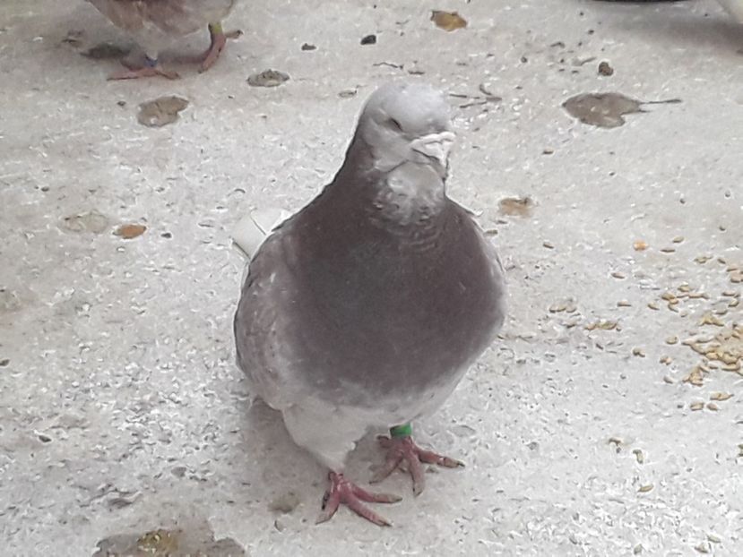 20210325_152909(0) - CONTACT