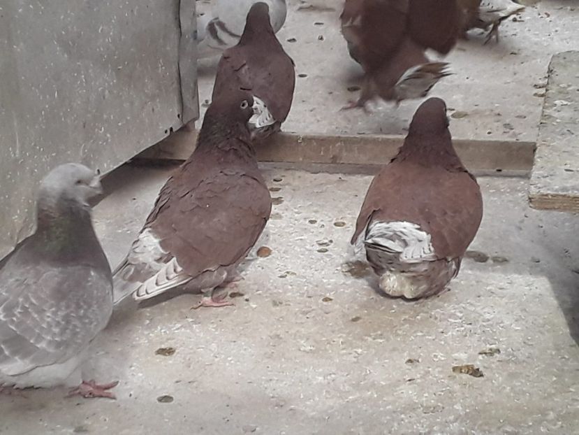 IMG-20210325-WA0002 - CONTACT