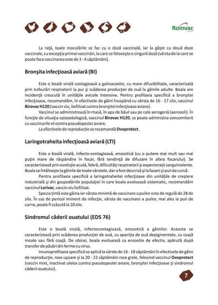  - MEDICAMENTE PUI DE RASĂ