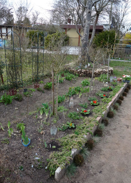  - 2021 - 01 - Primavara