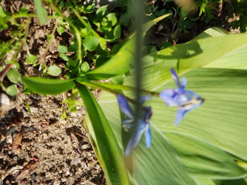  - Martie la balta 2021 2022