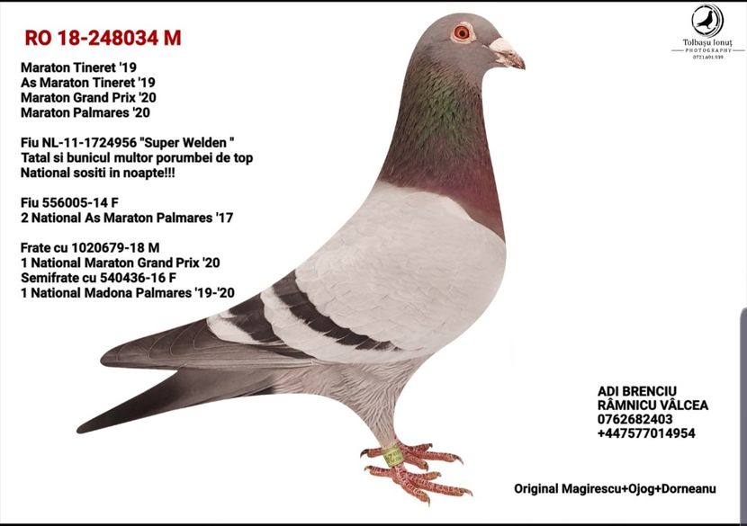 2021-03-26-13-14-34 - B Maraton Cuplul nr 1 800 km-1200 km Magirescu Ojog Dorneanu 248034-18 M x 429684-19 F