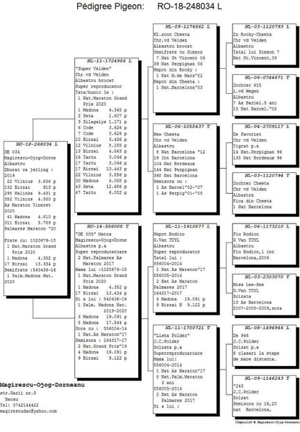 received_676208819722365 - B Maraton Cuplul nr 1 800 km-1200 km Magirescu Ojog Dorneanu 248034-18 M x 429684-19 F