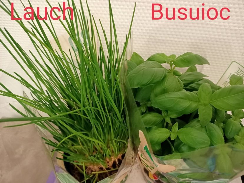  - 1 Achiziție nouă