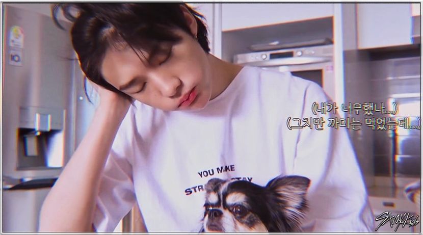 ♦ Dᴀʏ 301 ♦ 28.03.2021 ♦ - SKZeverywhereallaroundtheworld