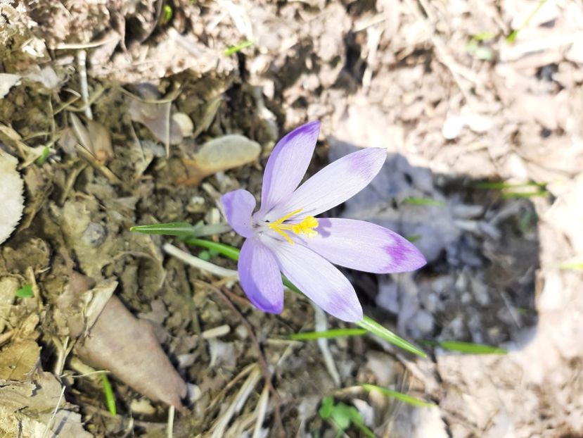  - La țară în martie 2021