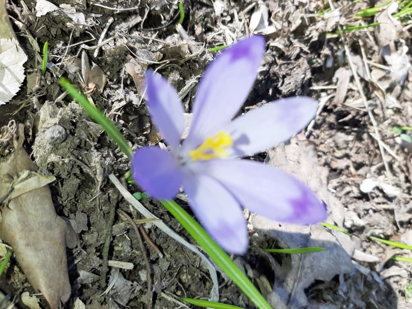  - La țară în martie 2021