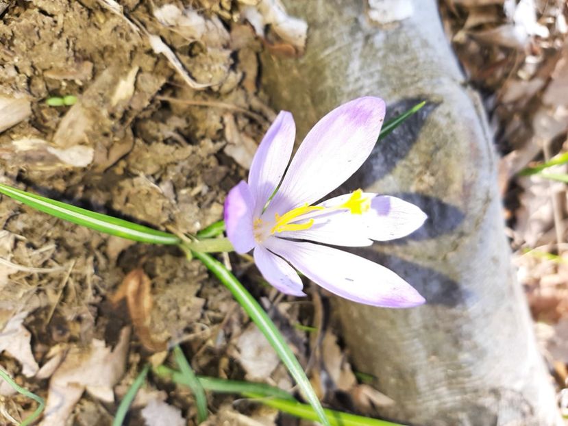  - La țară în martie 2021